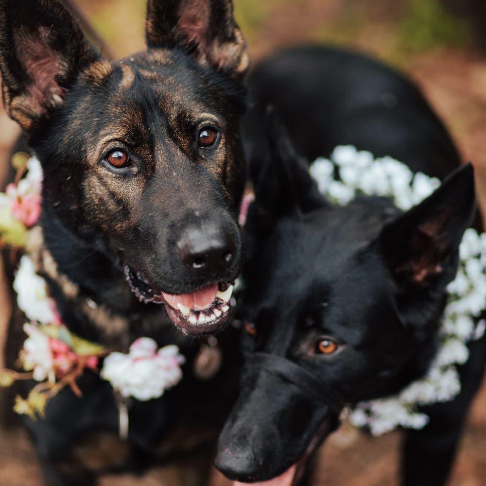 A Body & Soul destination wedding.
